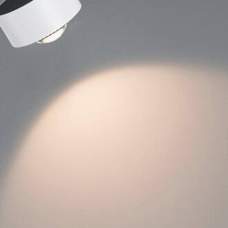 Paulmann Aldan URail LED spot 2.700K wit wit, zwart