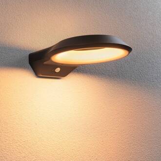 Paulmann Anela LED sensor buitenwandlamp 2.200 K antraciet