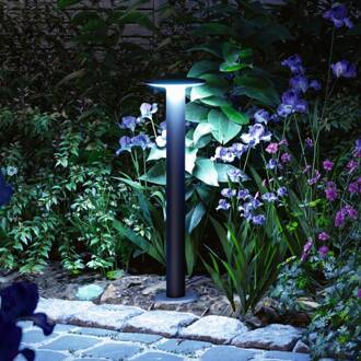 Paulmann Plat ZigBee RGBW LED tuinpadverlichting antraciet