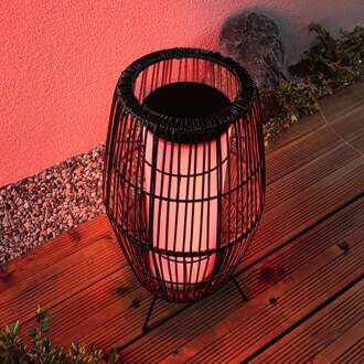 Paulmann Plug & Shine LED lamp Mand RGBW, 40 cm, ZigBee zwart