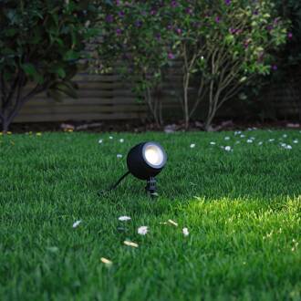 Paulmann Plug & Shine LED spot Kikolo, 3.000 K, 20°, aluminium antraciet