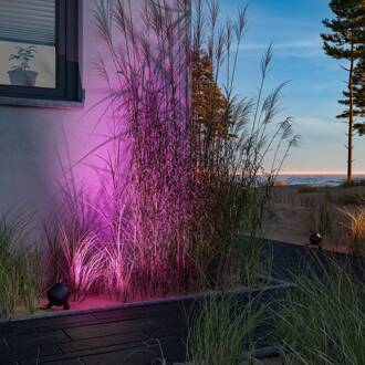 Paulmann Plug & Shine LED spot Kikolo grondspike, ZigBee, RGBW antraciet