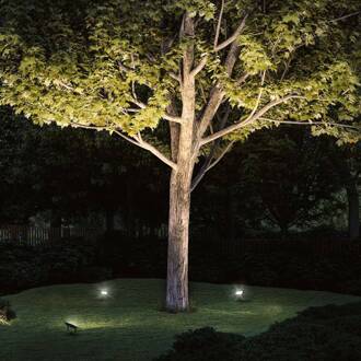 Paulmann Plug & Shine schijnwerper met spike 16W zwart