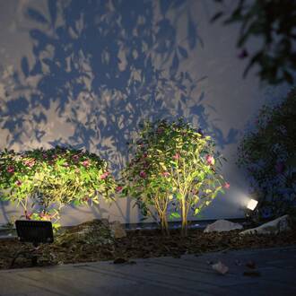 Paulmann Plug & Shine schijnwerper met spike 6.8W zwart