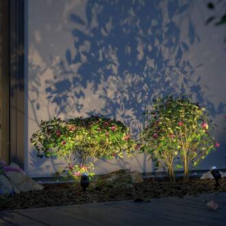 Paulmann Plug & Shine spot Pike, ZigBee, RGBW antraciet