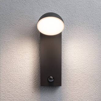 Paulmann Puka LED buitenwandlamp met sensor antraciet