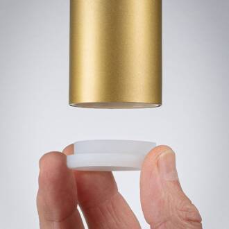 Paulmann Ravi fitting E27, zwart/mat goud zwart, goud mat