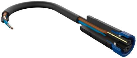 Paulmann Smart LED Kerst set Plug & Shine Star 10m kabel wit