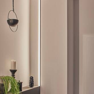 Paulmann Square profiel, zwart, diffusor wit, 2m zwart, wit