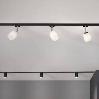 Paulmann URail Spot Blossom zwart, gesatineerd glas zwart, wit gesatineerd