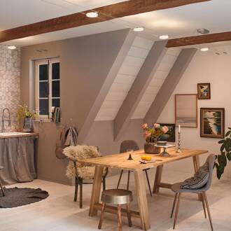 Paulmann Wire DiscLED LED kabelverlichting, 5-lamps opaal, chroom