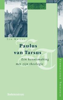 Paulus van Tarsus - Boek Thomas Wright (9023918673)