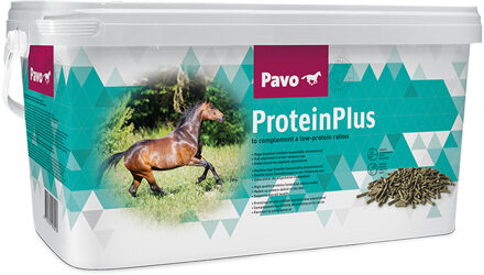 Pavo ProteïnPlus - Spiersupplement - 7 kg
