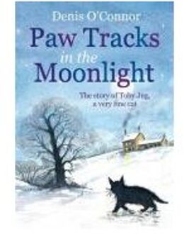 Paw Tracks in the Moonlight