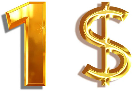 pay the extra shipping fee