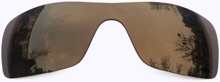 Pazzerby Vervanging Lenzen Voor-Liv Zonnebril-Meerdere Opties Anti-Reflecterende bronzen goud