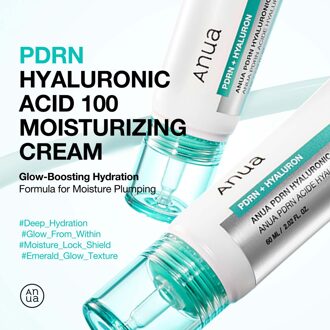 PDRN Hyaluronic Acid 100 Moisturising Cream 60ml