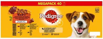 Pedigree Adult Mix selectie in gelei - Hondenvoer - Multipack 40 x 100 gram - Rund - Kip - 4 kg