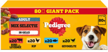 Pedigree Adult Mix Selectie in gelei multipack natvoer hond maaltijdzakjes 1 verpakking (80 x 100 g)