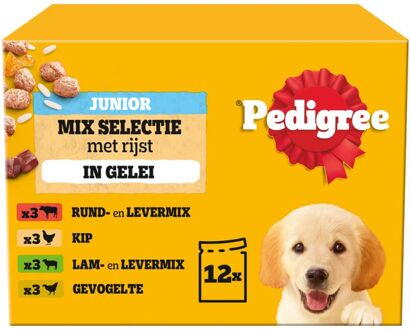 Pedigree Junior Mix Selectie In Gelei - Hondenvoer - 1,2 kg