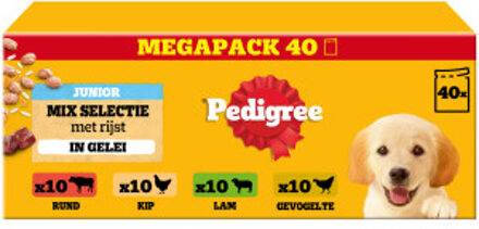 Pedigree Junior Mix Selectie in gelei megapack natvoer hond maaltijdzakjes 2 verpakkingen (80 x 100 g)