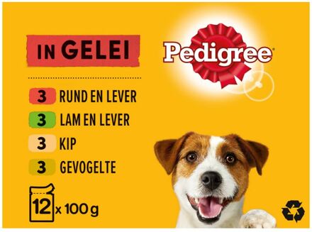 Pedigree Maaltijdzakjes Adult Favourites In Gelei Multipack - Hondenvoer - 12x100 g