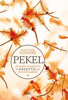 Pekel -  Dieter Honoré (ISBN: 9789464987324)