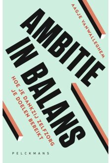 Pelckmans uitgevers Ambitie In Balans - Aagje Vanwalleghem