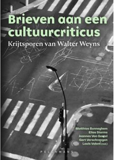 Pelckmans uitgevers Brieven Aan Een Cultuurcriticus - Matthias Bunneghem