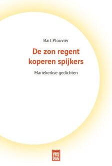 Pelckmans uitgevers De zon regent koperen spijkers