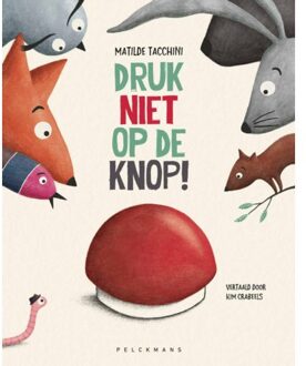 Pelckmans uitgevers Druk Niet Op De Knop - Matilde Tacchini