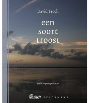 Pelckmans uitgevers Een Soort Troost - Wablieft - David Troch