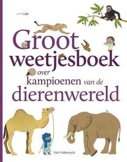 Pelckmans uitgevers Groot Weetjesboek Over Kampioenen Van De