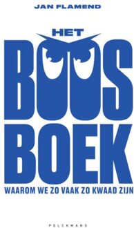 Pelckmans uitgevers Het Boosboek - Jan Flamend