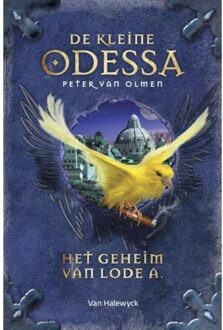 Pelckmans uitgevers Het geheim van Lode A - Boek Peter van Olmen (9461316372)