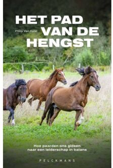 Pelckmans uitgevers Het Pad Van De Hengst - Philip Van Kelst