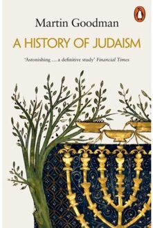 Penguin A History of Judaism - Boek Martin Goodman (0141038217)