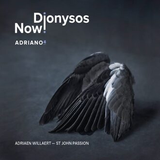 Penguin Adriano 4 - Dionysos Now!