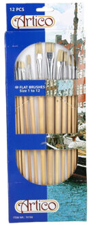 Penselen set Plat - 12 delig