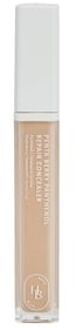 Penta Berry Panthenol Repair Concealer - 3 Colors #13 Ivory