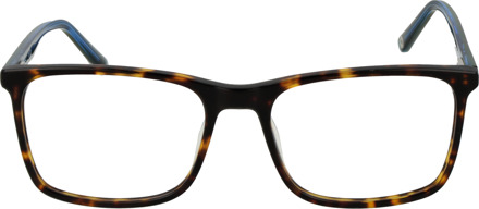 Pepe Jeans Brilframe PJ3441 c5 53 - maat Bruin