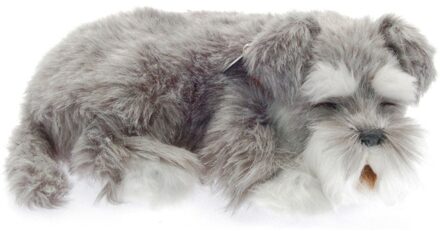 Perf Perfect petzzz soft schnauzer