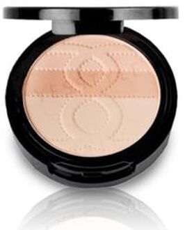 Perfect Aqua Powder Foundation SPF 50+ PA++++ 9g