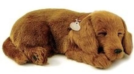 Perfect Petzzz Teckel 96170