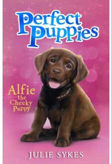 Perfect Puppies Book 1 - Perfect Puppies - Julie Sykes