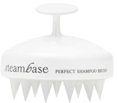 Perfect Shampoo Brush 2024 Version - Shampoo