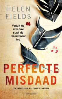 Perfecte misdaad - Helen Fields - ebook