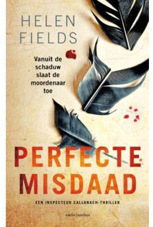 Perfecte misdaad