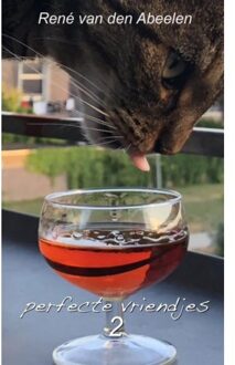 Perfecte Vriendjes 2 - René Van den Abeelen