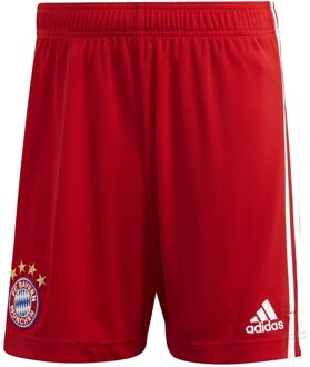 Performance Senior FC Bayern München thuis short rood - XL
